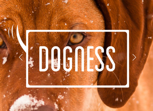 Dogness Shop